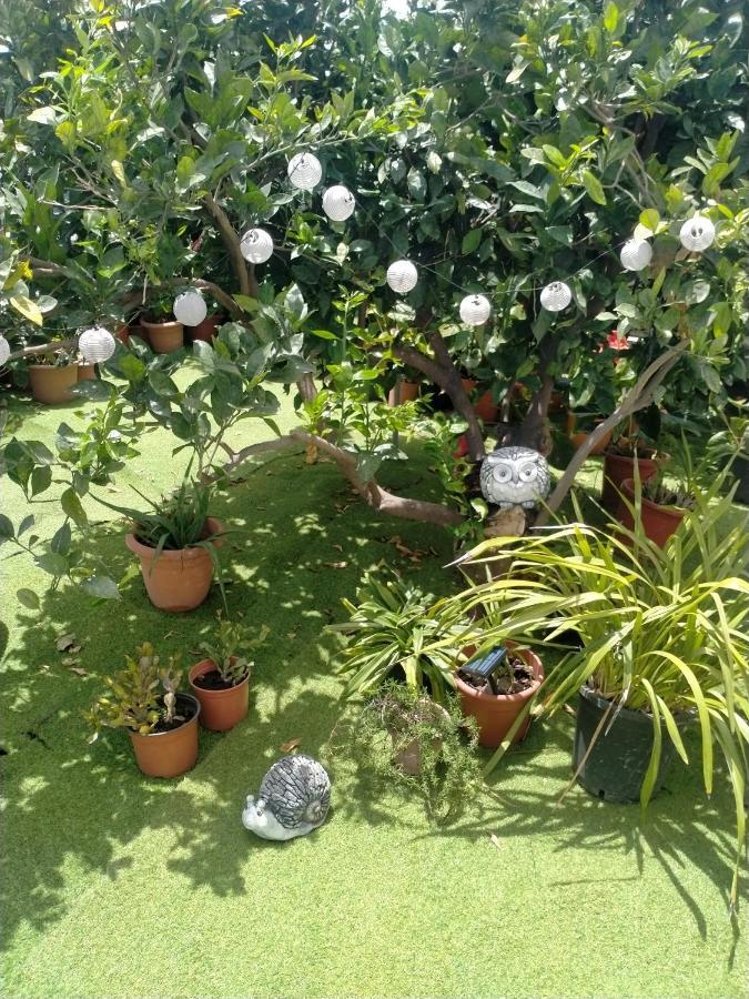 Apartament Casa Nine Con Piscina Vacacional La Palma Breña Baja Zewnętrze zdjęcie